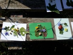 IMG_20190914_105126.jpg
